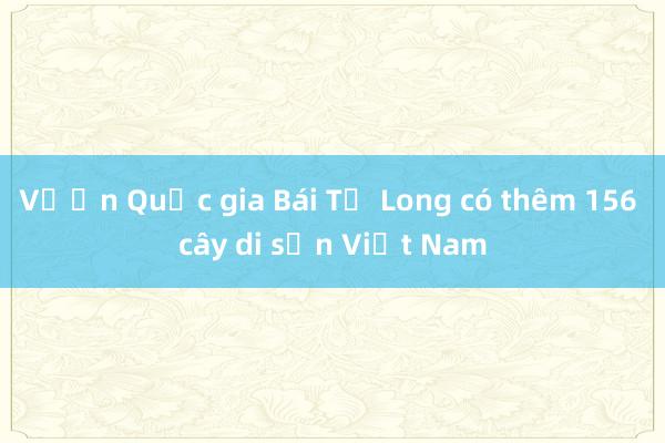 Vườn Quốc gia Bái Tử Long có thêm 156 cây di sản Việt Nam