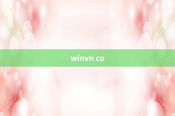 winvn co