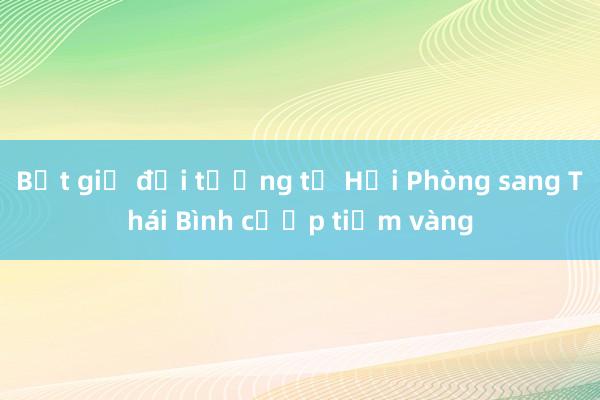 Bắt giữ đối tượng từ Hải Phòng sang Thái Bình cướp tiệm vàng