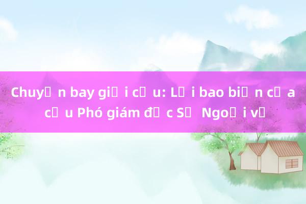 Chuyến bay giải cứu: Lời bao biện của cựu Phó giám đốc Sở Ngoại vụ