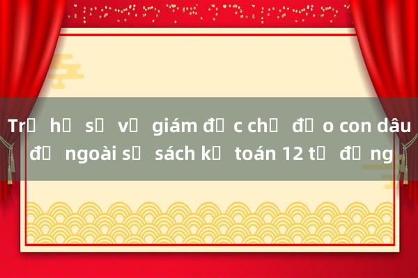 Trả hồ sơ vụ giám đốc chỉ đạo con dâu để ngoài sổ sách kế toán 12 tỷ đồng