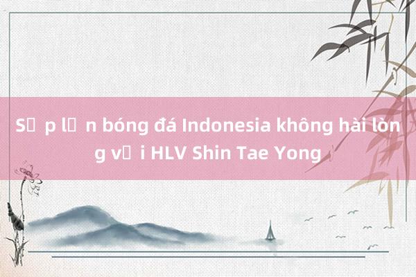 Sếp lớn bóng đá Indonesia không hài lòng với HLV Shin Tae Yong