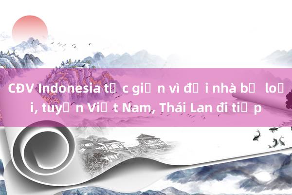 CĐV Indonesia tức giận vì đội nhà bị loại， tuyển Việt Nam， Thái Lan đi tiếp